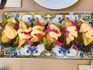 Gyosas at El Manglar in Oviedo