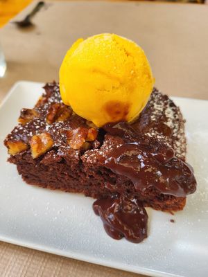 Brownie at El Manglar in Oviedo