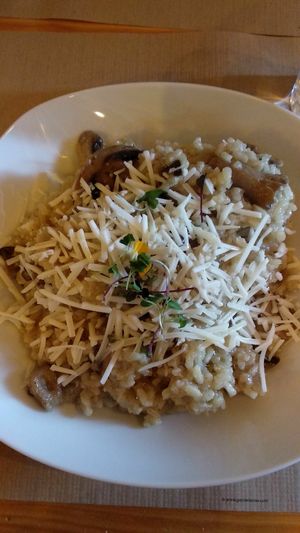 Risotto de setas con queso vegano at El Manglar in Oviedo