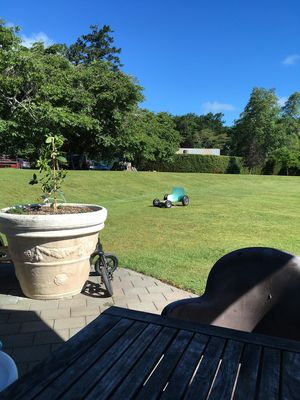 Wooden karts to play with  at Prof's at Woodlands in Hamilton