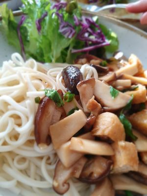 Udon vegan mushroom pad kra pao at Coco Mango in Koh Chang