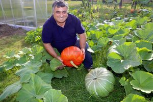 Recai Kahveci with pumpkins in his garden at Kebabhaus in Gottingen