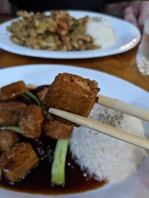 The tofu was so good! General t'sos at House of Ginger in Uvita