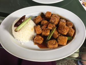 general t‘sos with tofu at House of Ginger in Uvita