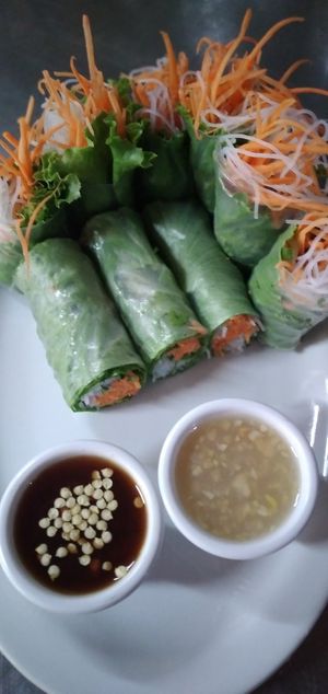 Rollos Primavera at House of Ginger in Uvita