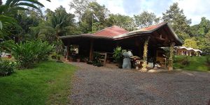 Casa Ginger at House of Ginger in Uvita