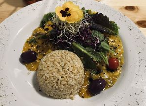   at Vida Vegan Bistro in Cusco