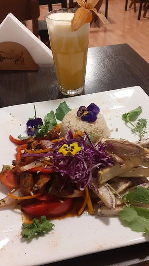  at Vida Vegan Bistro in Cusco