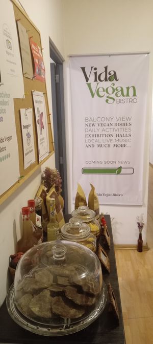  at Vida Vegan Bistro in Cusco