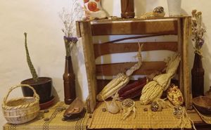  at Vida Vegan Bistro in Cusco