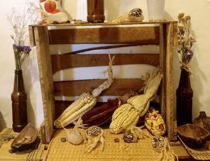  at Vida Vegan Bistro in Cusco