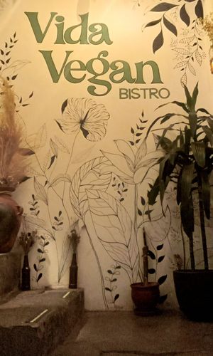  at Vida Vegan Bistro in Cusco