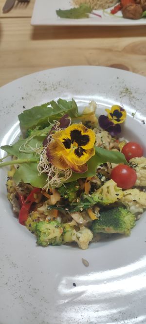  at Vida Vegan Bistro in Cusco