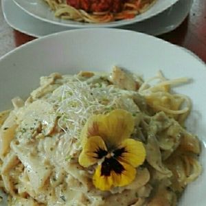 Pasta en salsa boloñesa y pasta en salsa de espárragos y champiñones  at Vida Vegan Bistro in Cusco