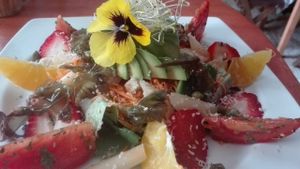 ensalada fresca de la casa at Vida Vegan Bistro in Cusco