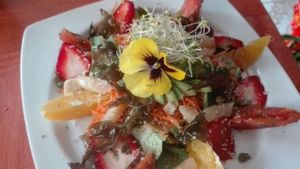 ensalada at Vida Vegan Bistro in Cusco