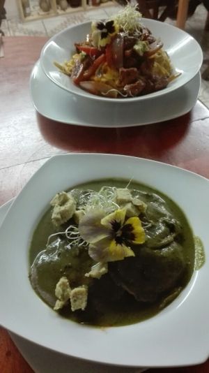 pasta a la huancaina sobre un saltado de carne vegetal y unos ravioles rellenas de queso vegano y salsa pesto.  at Vida Vegan Bistro in Cusco