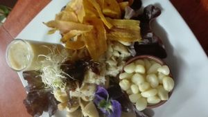 Ceviche vegano at Vida Vegan Bistro in Cusco