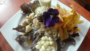 Ceviche at Vida Vegan Bistro in Cusco