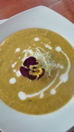crema de verduras at Vida Vegan Bistro in Cusco