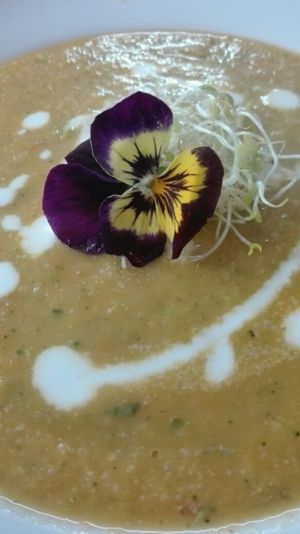 pumpkin cream at Vida Vegan Bistro in Cusco