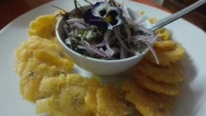 patacones con zarsa a la criolla at Vida Vegan Bistro in Cusco