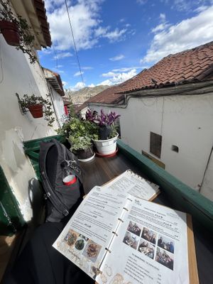   at Vida Vegan Bistro in Cusco