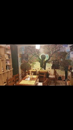 seating area at Vida Vegan Bistro in Cusco