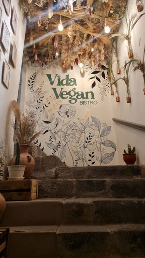  at Vida Vegan Bistro in Cusco
