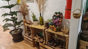  at Vida Vegan Bistro in Cusco