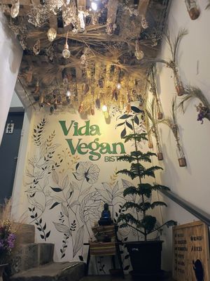  at Vida Vegan Bistro in Cusco