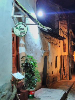 from the street at Vida Vegan Bistro in Cusco