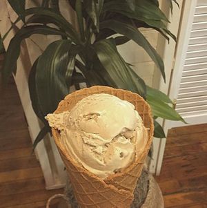 Local Roasted Latte ice cream (vegan & gluten-free) at Sticky Sweet in Portland