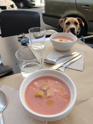  at Beganbai in Vitoria Gasteiz