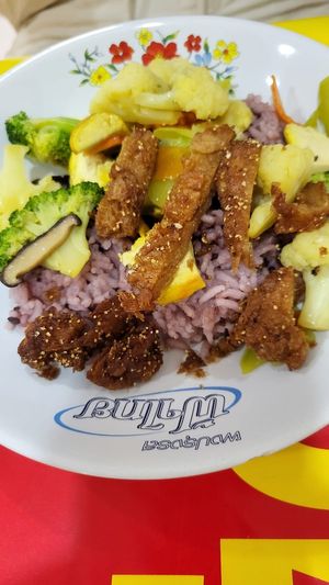 Rice with Tofu and veggies from the buffet at Ranahat Je Vegan Restaurant in Ayutthaya