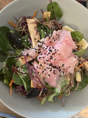   at Comes and Goes in Lower Hutt