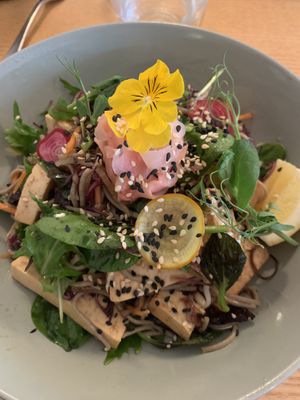 Soba Noodle salad with tofu - vegan at Comes and Goes in Lower Hutt