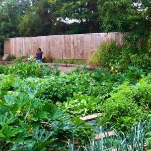 Our magic garden !! at Le Mango Tree in Soorts-hossegor