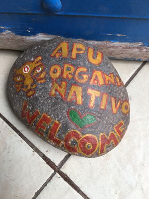 Welcome home at Apu Organic Nativo in Pisac