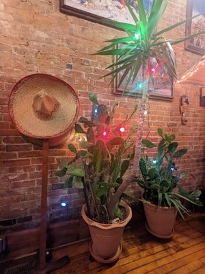  at Louisa's Mexican Grill in Geneva