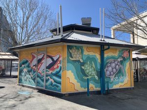 The Fish Shack, Canberra at The Fish Shack in Canberra