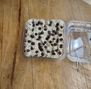  at Lupito Cocina Vegana in La Paz