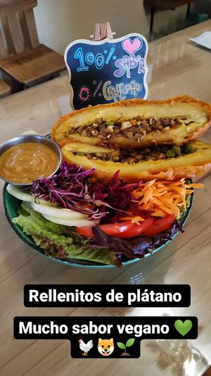 Platanitos rellenos, versión Buddha bowl at Lupito Cocina Vegana in La Paz