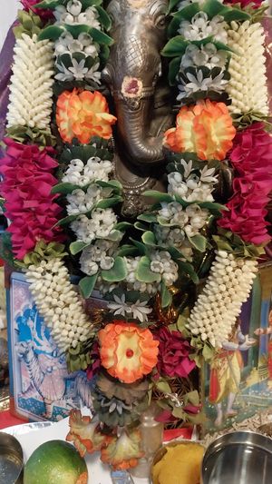  at Saravanaa Bhavan in Paris