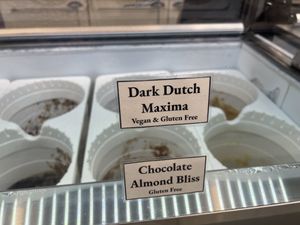 Vegan flavors  at Angela's Ice Cream - Petaluma Blvd in Petaluma