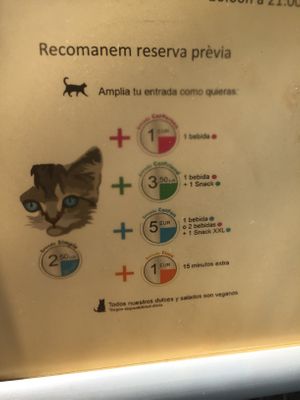 Time and drinks prices  at Espai de Gats in Barcelona