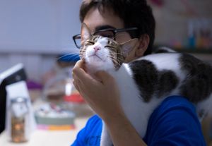 Mimo enjoying being petted by a visitor at Espai de Gats in Barcelona