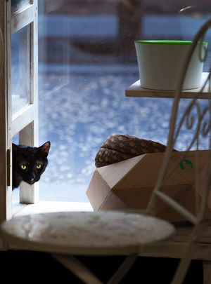 Lluc sunbathing at his favorite spot at Espai de Gats in Barcelona