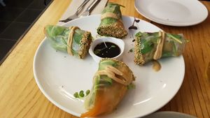 Spring rolls at Quinoa Arago Vegetaria in Barcelona