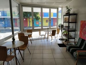 Sunny front room at Planet Vegan in Sunshine Coast